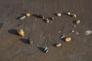 12091207_10207625917188834_8472283754132816846_o