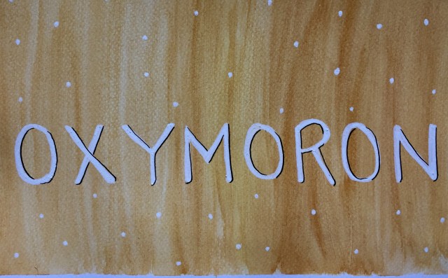 3674B6A7-AE8F-4507-B600-72DAC1C7027E_1_201_a